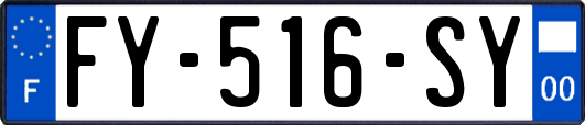 FY-516-SY