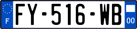 FY-516-WB