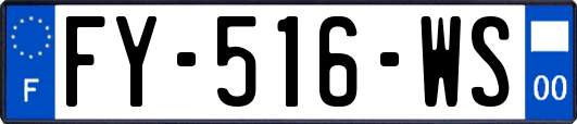 FY-516-WS