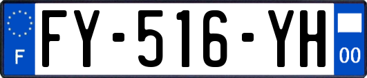 FY-516-YH