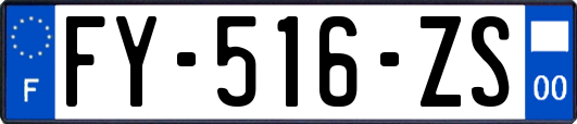 FY-516-ZS