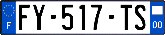 FY-517-TS
