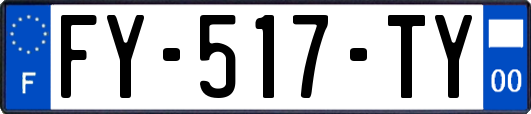FY-517-TY
