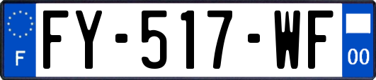 FY-517-WF
