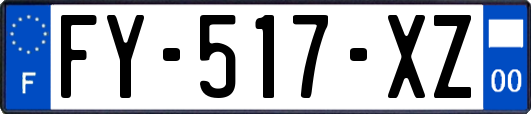 FY-517-XZ