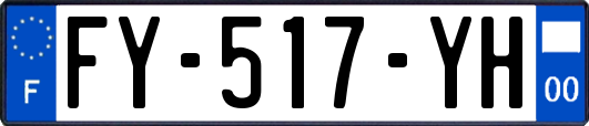 FY-517-YH