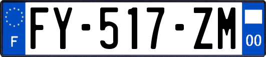 FY-517-ZM