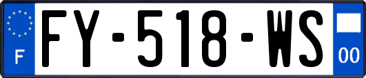 FY-518-WS