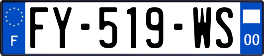 FY-519-WS