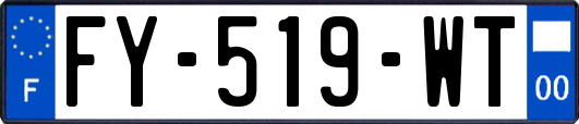 FY-519-WT