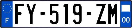 FY-519-ZM