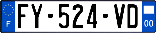FY-524-VD