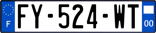 FY-524-WT