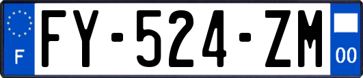 FY-524-ZM
