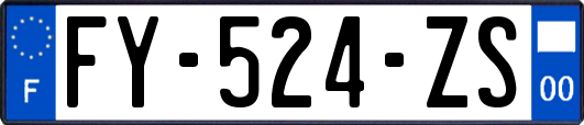 FY-524-ZS