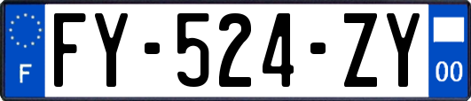 FY-524-ZY