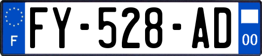 FY-528-AD