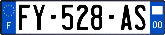 FY-528-AS