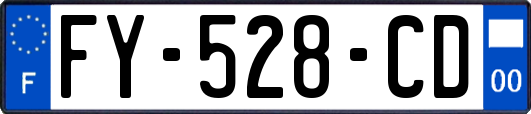 FY-528-CD