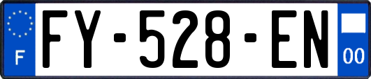 FY-528-EN
