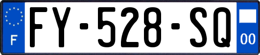 FY-528-SQ