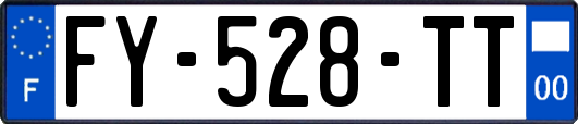 FY-528-TT