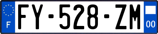 FY-528-ZM