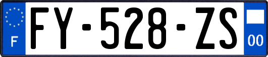 FY-528-ZS