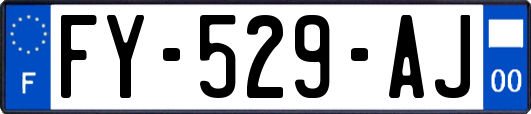 FY-529-AJ