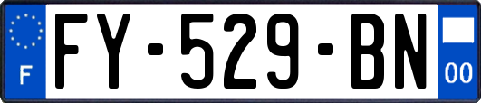 FY-529-BN