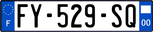 FY-529-SQ