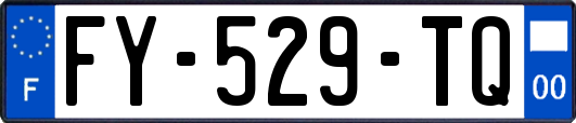 FY-529-TQ
