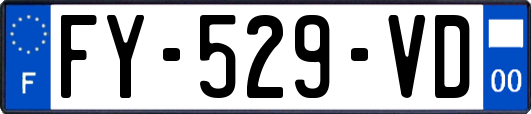 FY-529-VD