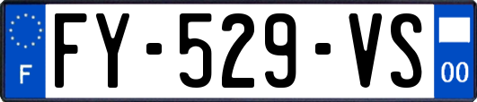 FY-529-VS