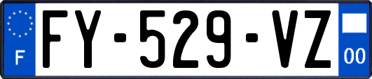 FY-529-VZ
