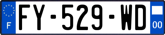 FY-529-WD