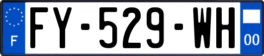 FY-529-WH