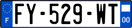 FY-529-WT