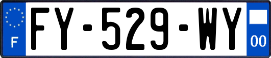 FY-529-WY