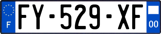 FY-529-XF