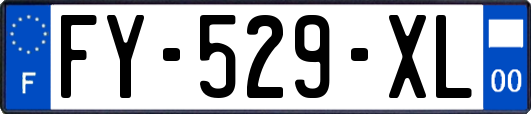 FY-529-XL