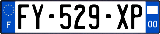FY-529-XP