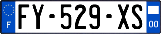 FY-529-XS