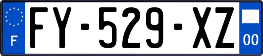 FY-529-XZ
