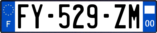 FY-529-ZM