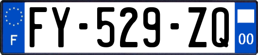 FY-529-ZQ