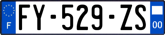 FY-529-ZS