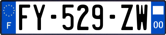 FY-529-ZW