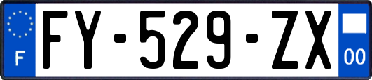 FY-529-ZX