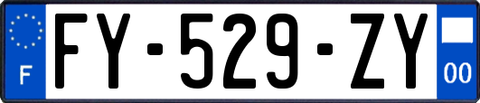 FY-529-ZY
